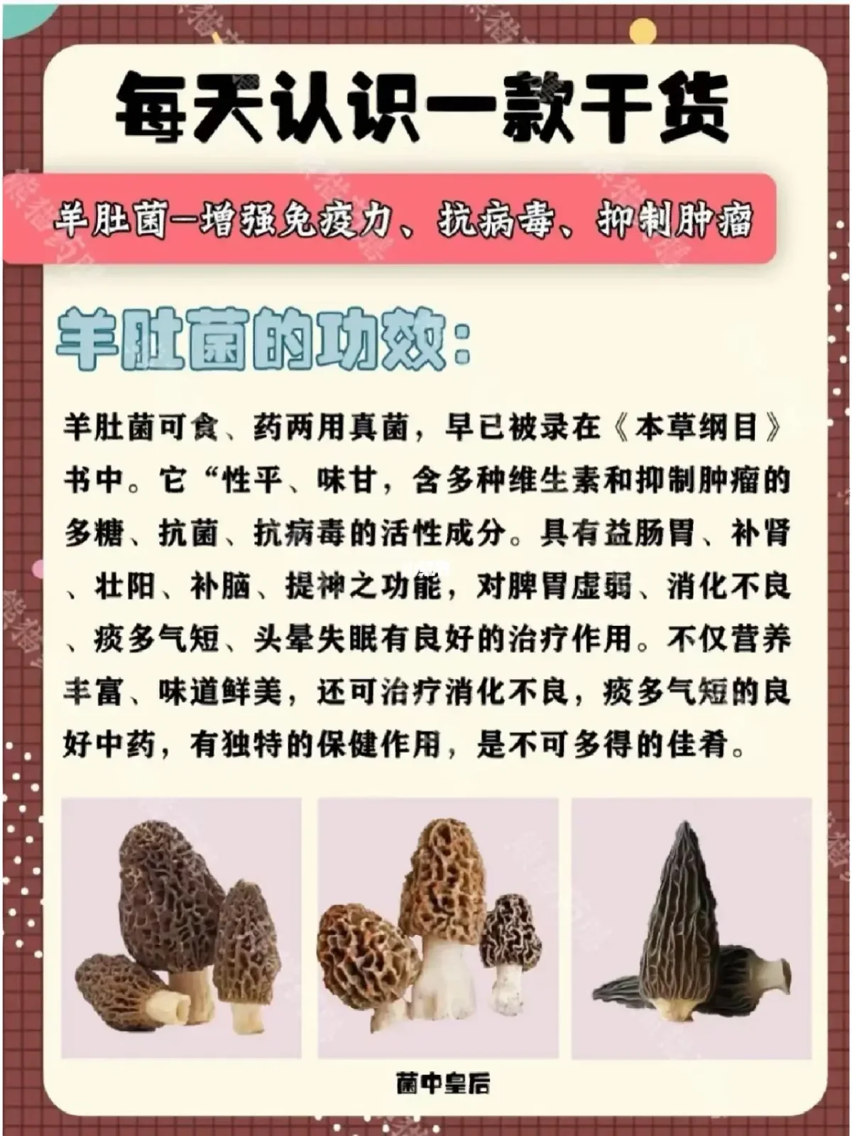 如何调配火锅汤底以提升免疫力
